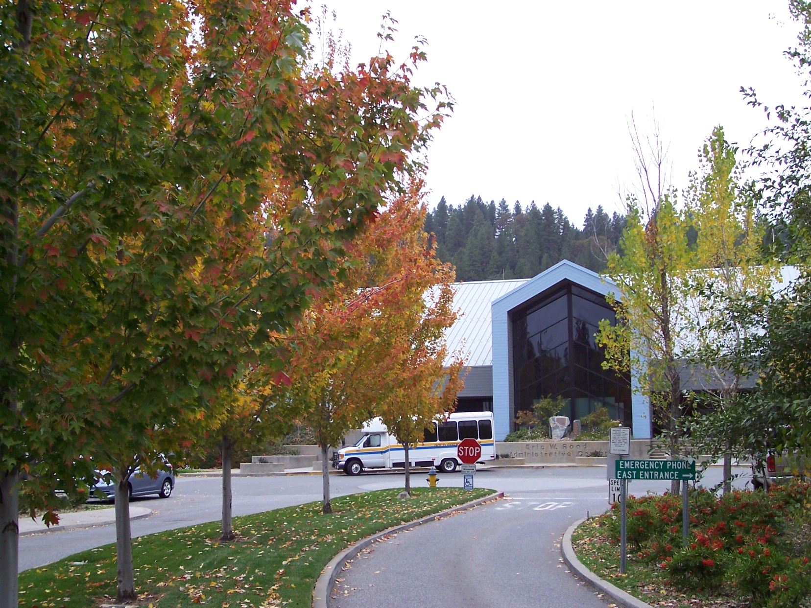 Rood Building Entrance During Autumn