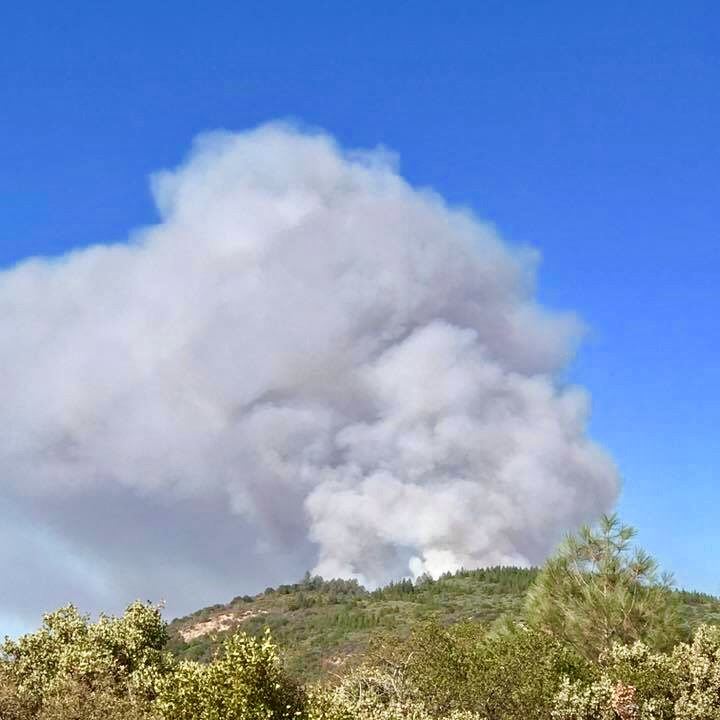 Pleasant Fire NewsFlash