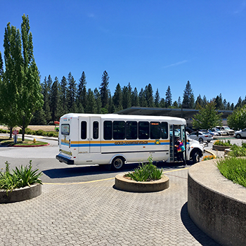 Free Fare Days NewsFlash