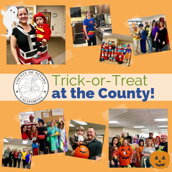 Trick-or-Treat - NewsFlash