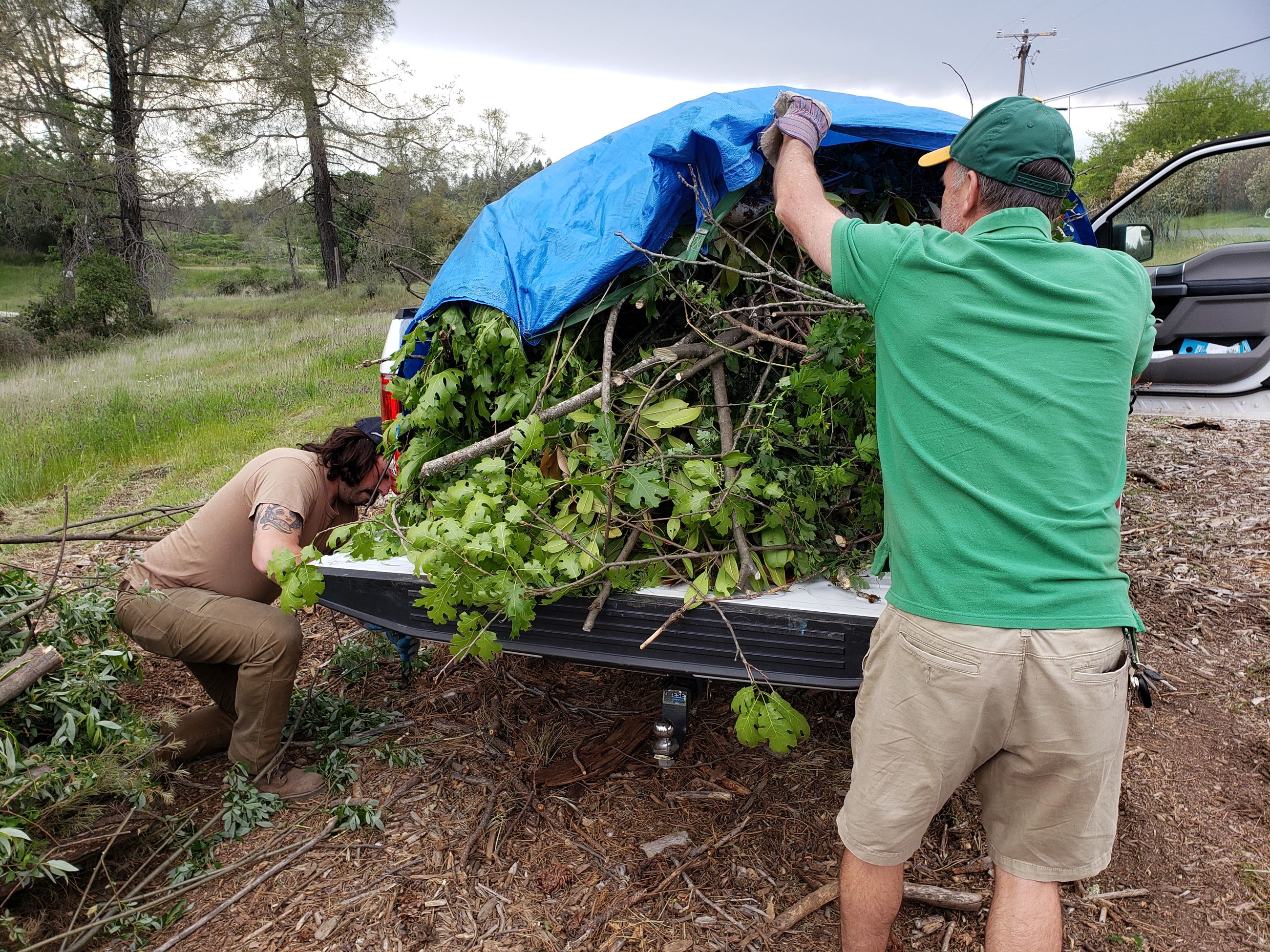 Green Waste at Jones Bar