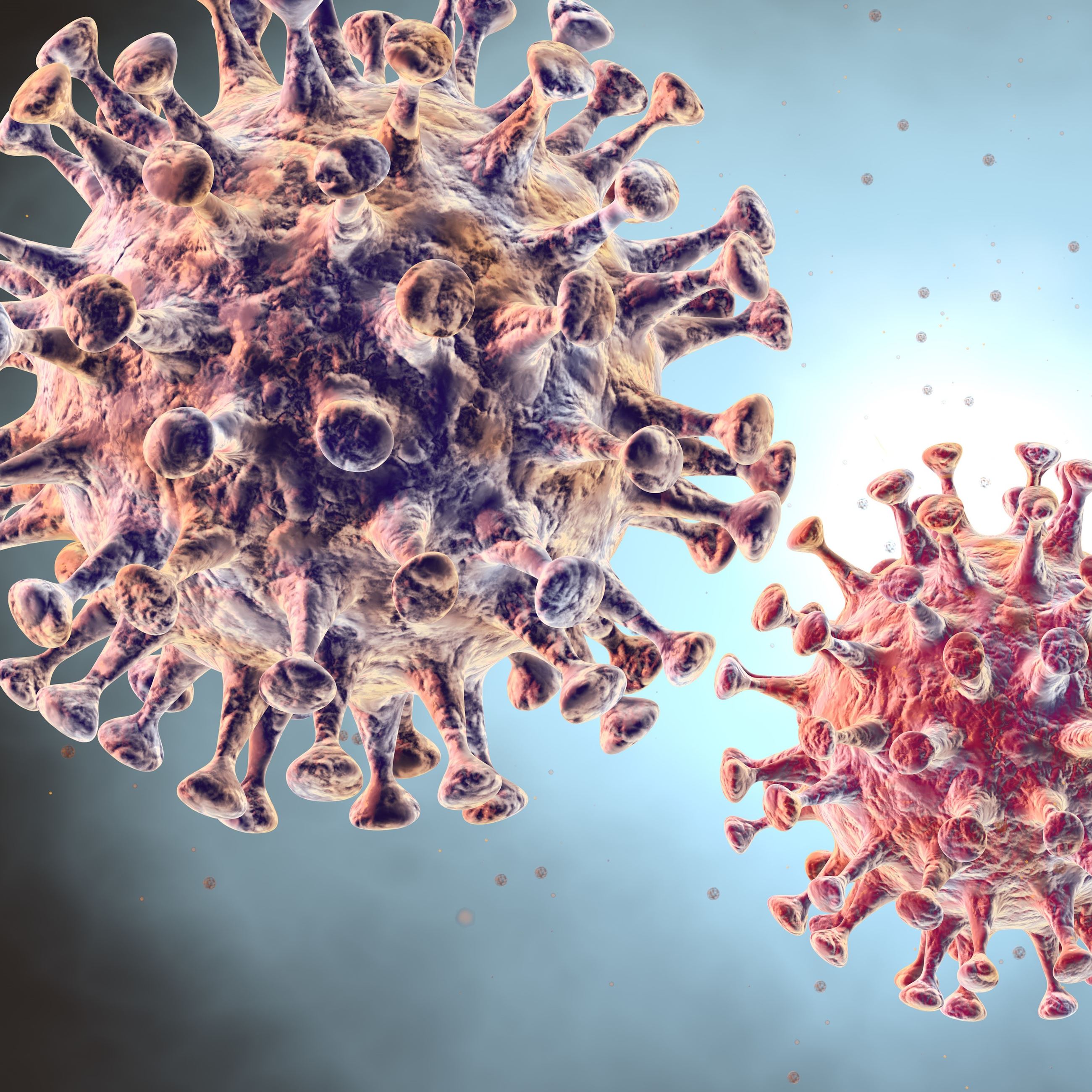 Coronavirus_NewsFlash