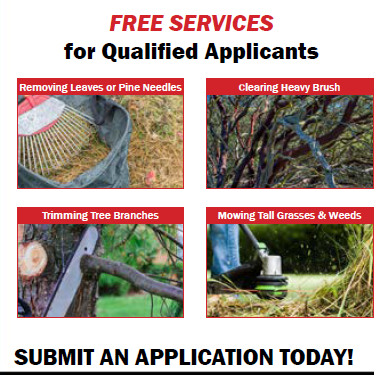 Free Defensible Space Flyer Snapshot