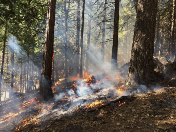 Yuba Bear Burn Cooperative
