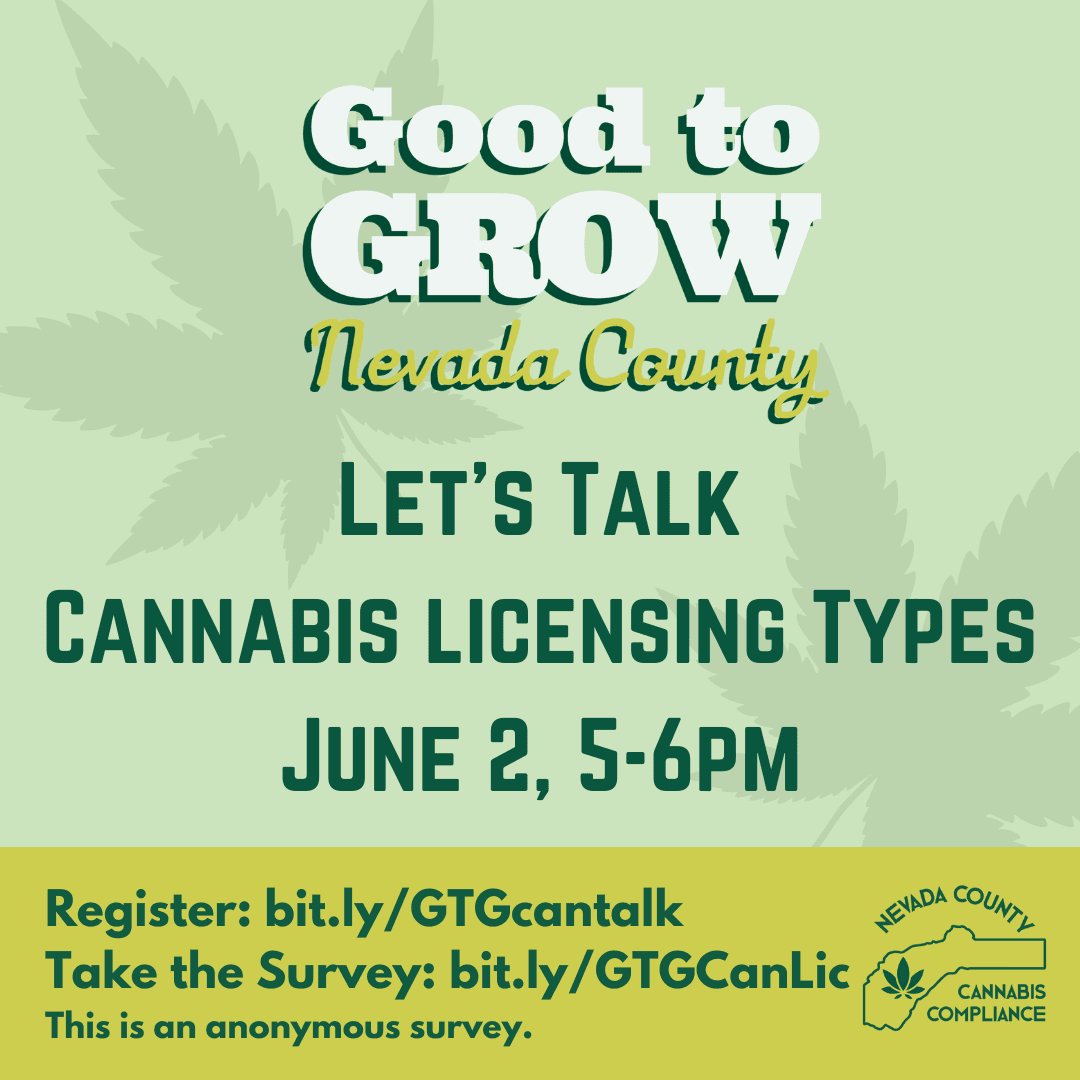 IG Cannabis Licensing Types (1)