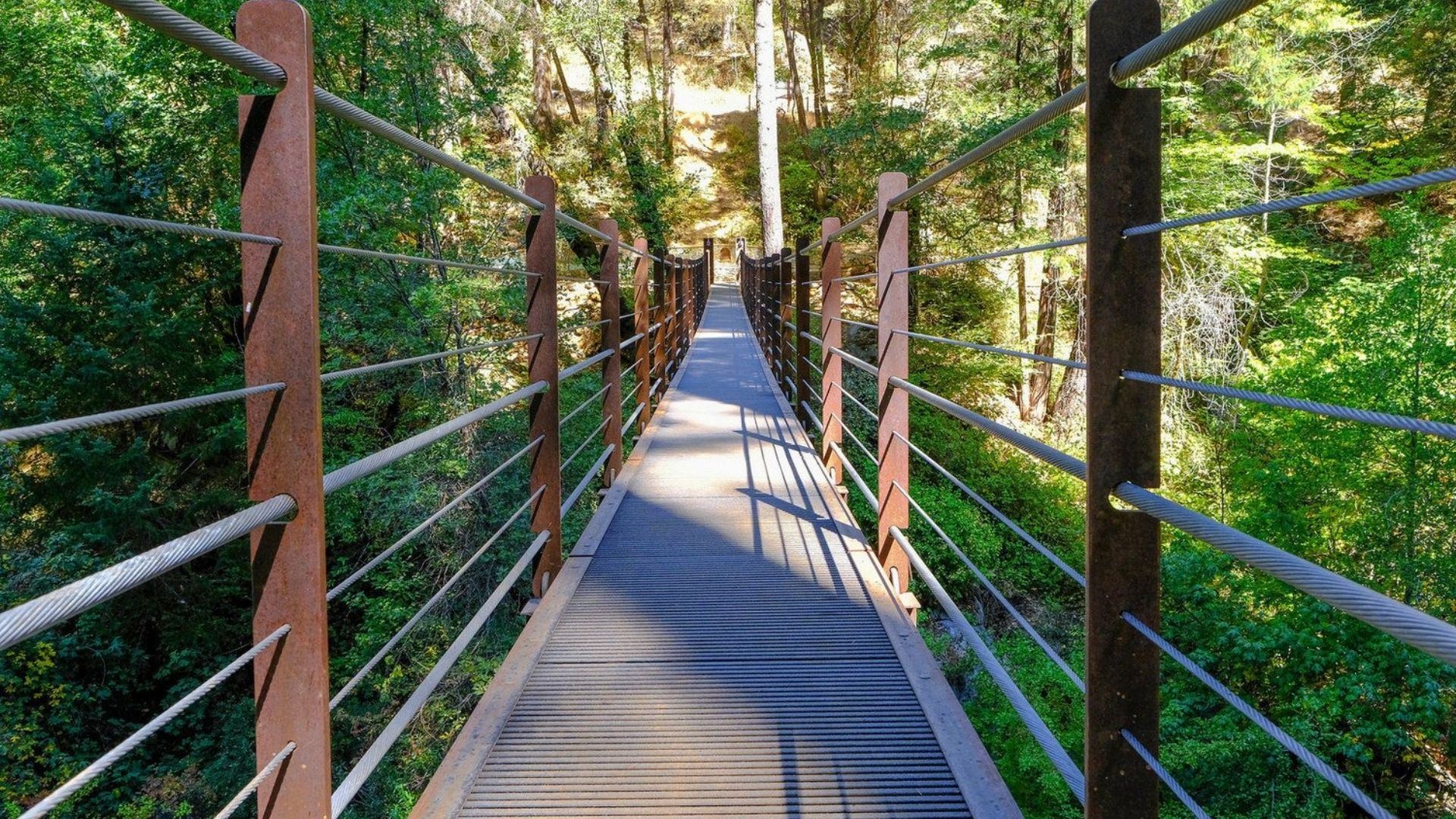 Deer Creek Tribute Trail