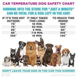 Car Temperature Dog Safety Chart
