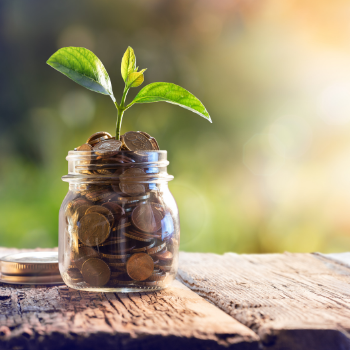 Seedling growing out of a jar of coins