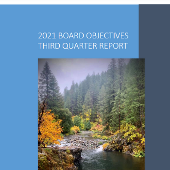 Third quarter progress report on board objectives