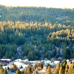 Nevada_City_WUI_2