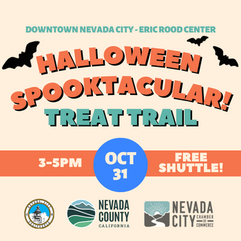 Halloween Spooktacular - NewsFlash