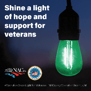 Operation Greenlight