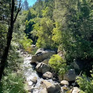 Overgrown brush lines the shores of Deer Creek
