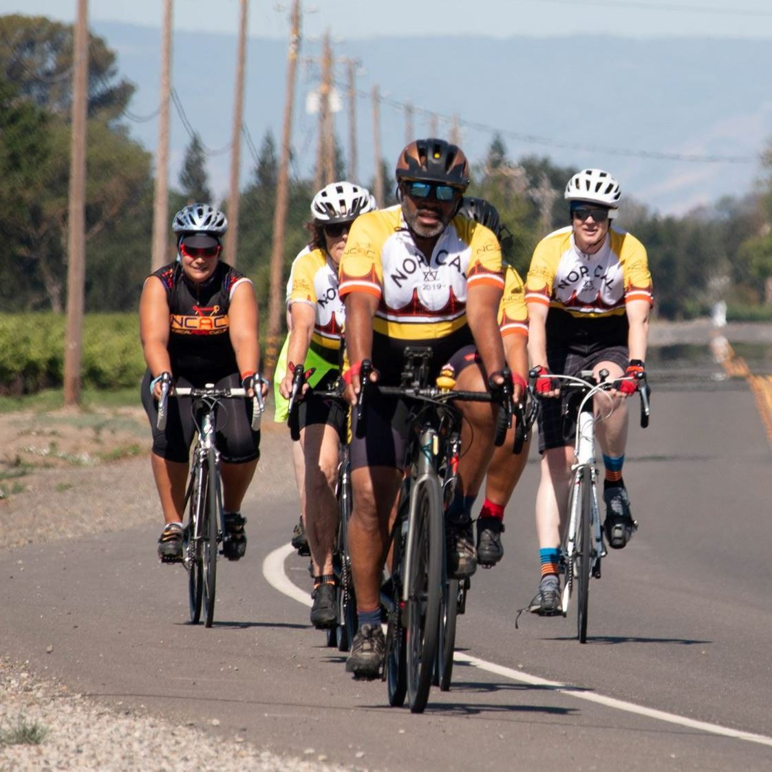 A group of cyclists ride along a sunny road lined by fruit trees