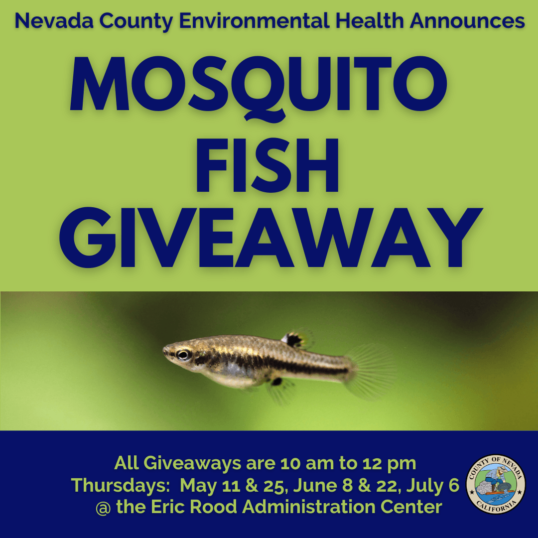 Mosquito Fish Giveaways 10-12pm May 11& 25, June 8 & 22, July 6 at the Rood Administrative Center