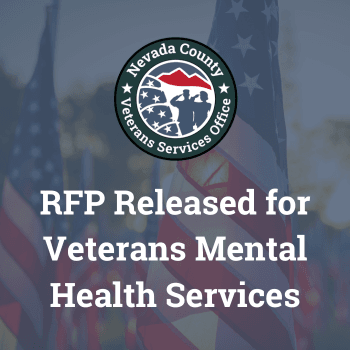 VSO logo over an image of American flags with sunlight shining through