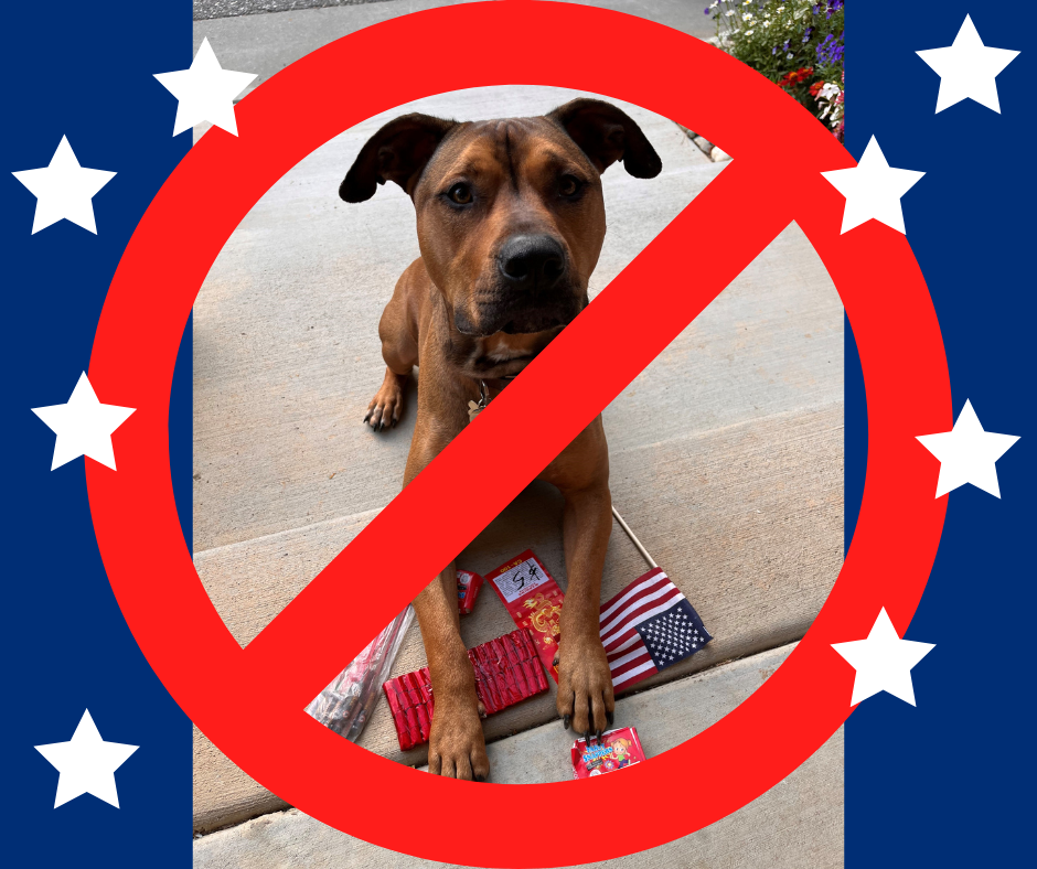 Nevada County Safe 4th of July Holiday No Fireworks