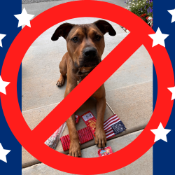 Nevada County Safe 4th of July Holiday No Fireworks