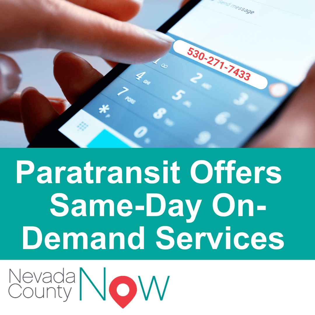 A hand dials a number on a cell phone. text reads: Paratransit Offers Same-Day On-Demand Services