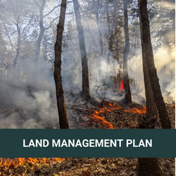 Land Management Plan