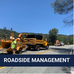 Roadside Vegetation Management