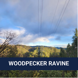 Woodpecker Ravine 