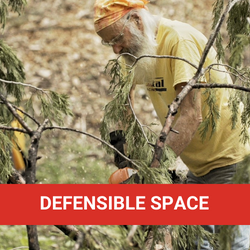 Nevada County Defensible Space