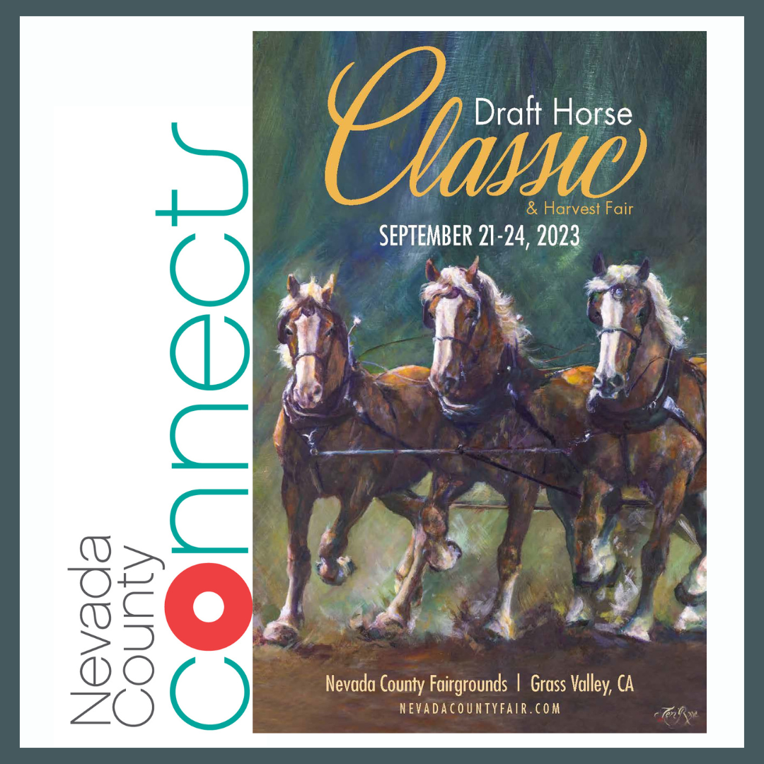 Transit Nevada County Connects Free Fare - Draft Horse Classic Painting of Horse