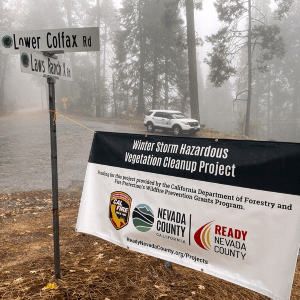 Winter-Storm-Hazardous-Vegetation-Cleanup-Project