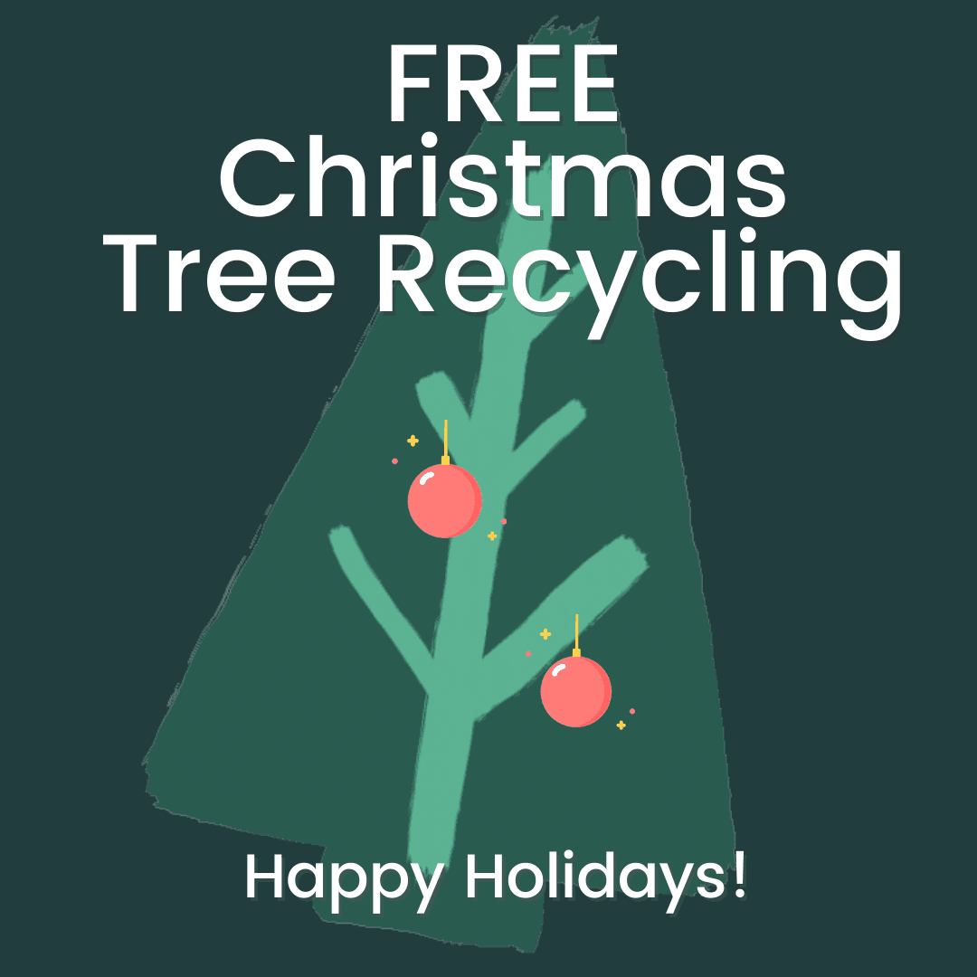 FREE Christmas Tree Recycling - IG FB Square