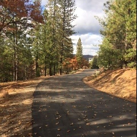 Red_Dog_Micro Grant_Round_1