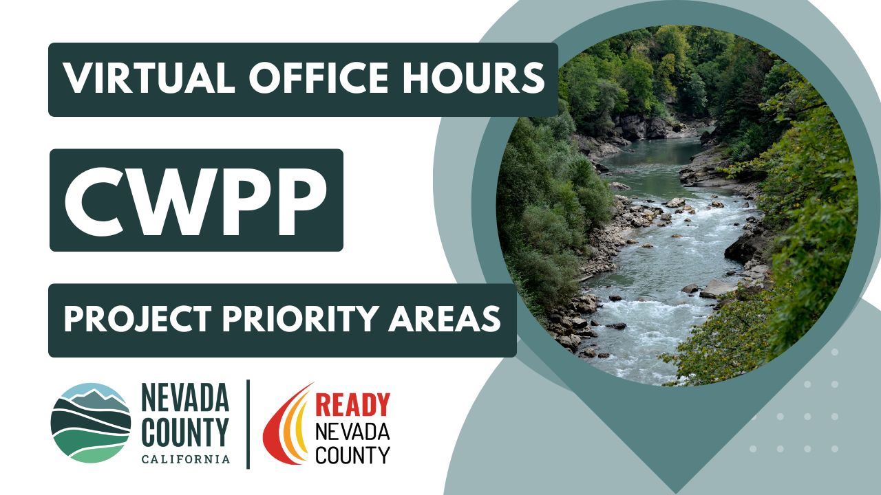 Project Priority Areas