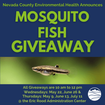 IG Mosquito Fish Giveaways Wednesdays and Thursdays starting May 9 and ending July 11, 10am to 12pm.