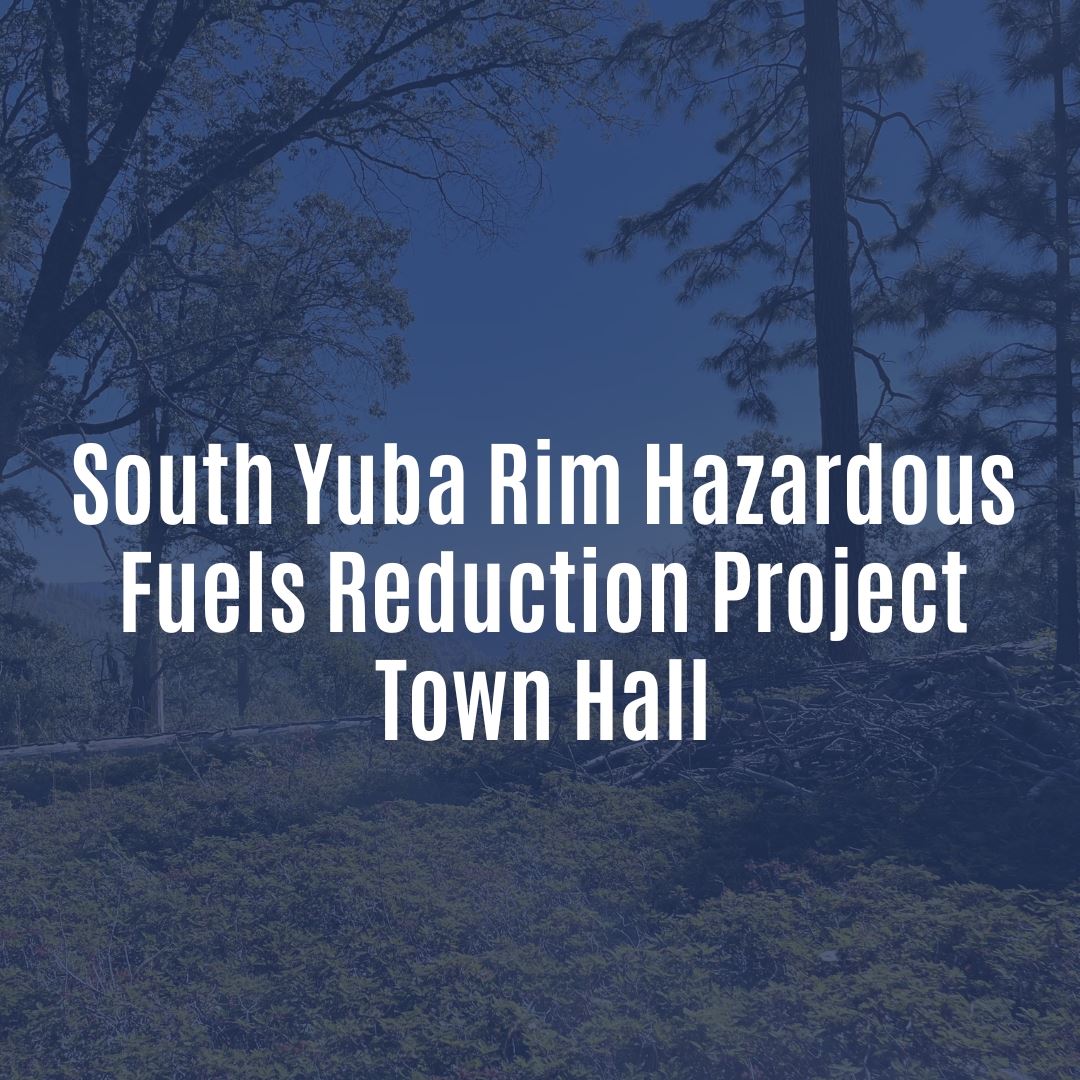 NewsFlash for South Yuba Rim 