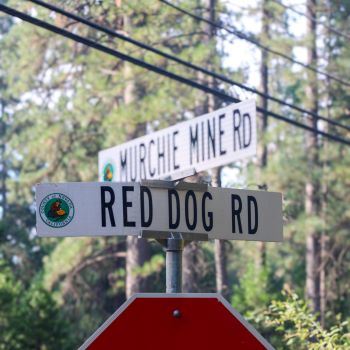 Red Dog Rd Sign with Murchie Mine Rd Cross Street