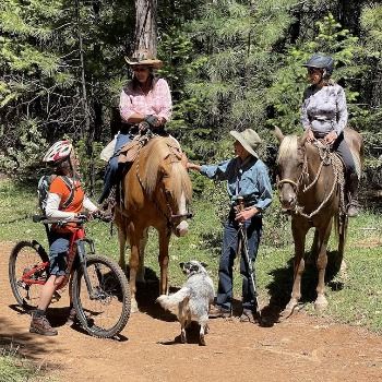 2 horses with riders, a hiker, a dog, and a bicyclist all meeting on a trail in Nevada County.