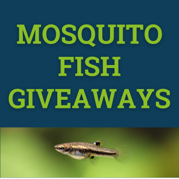 Mosquito Fish Giveaways with image of fish