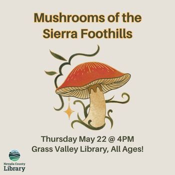 Mushrooms of the Sierra Foothills Newsflash