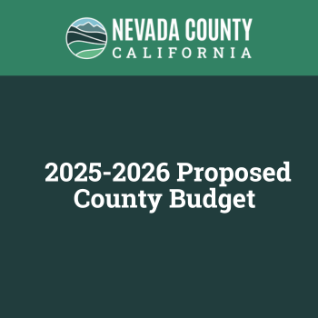 Proposed County Budget graphic