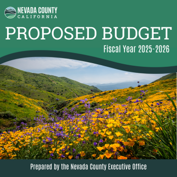 Budget Campaign Graphic LinkedIn Post (350 x 350 px)