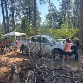 Dorsey homeless cleanup 350