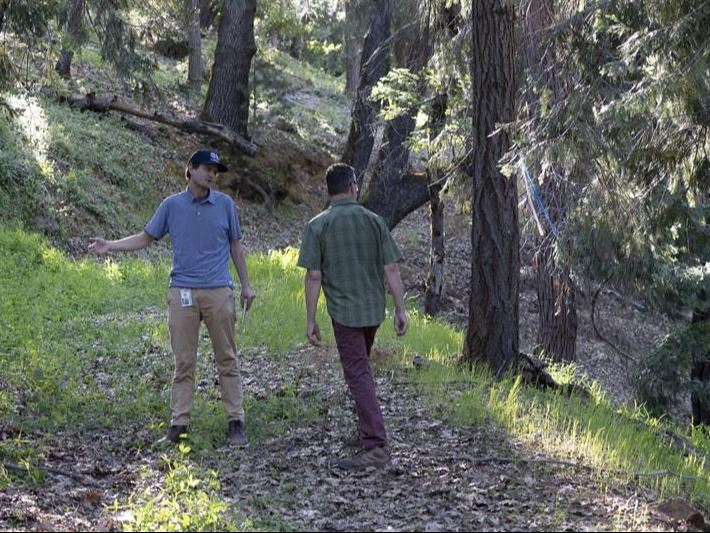 OES Team Member and Woodpecker Ravine Resident look at tree on property. 