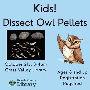 Newsflash owl pellets 2025