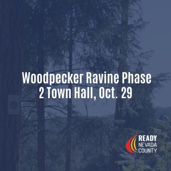 Woodpecker Ravine Phase 2 Town Hall