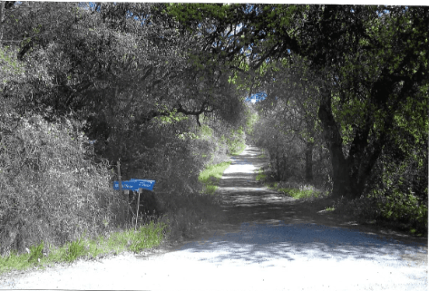 Big Oak St Tenders Darcy Rd BEFORE