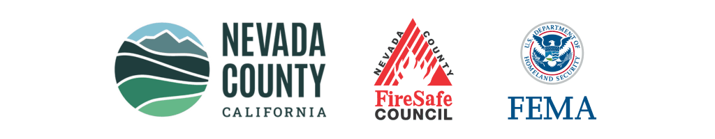 Access and Functional Needs Nevada County