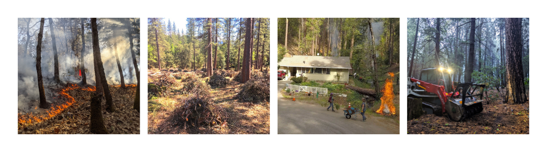 Land Management Plan