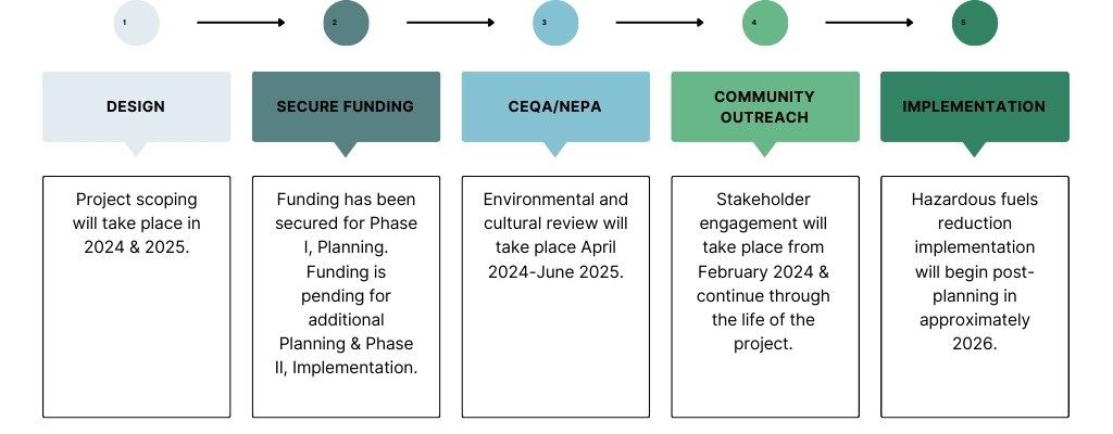South Yuba Rim Hazardous Fuels Reduction
