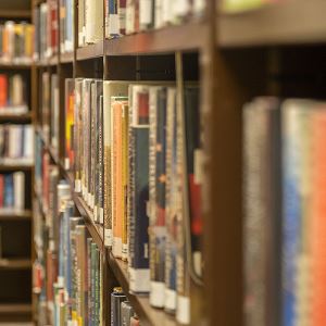 Truckee Library Webpage